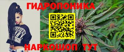 PSILOCYBIN Можайск